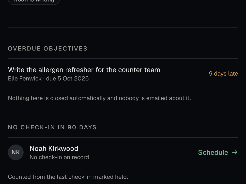 A manager’s team page listing one objective nine days late and one person with no check-in on record, with a link to schedule one.