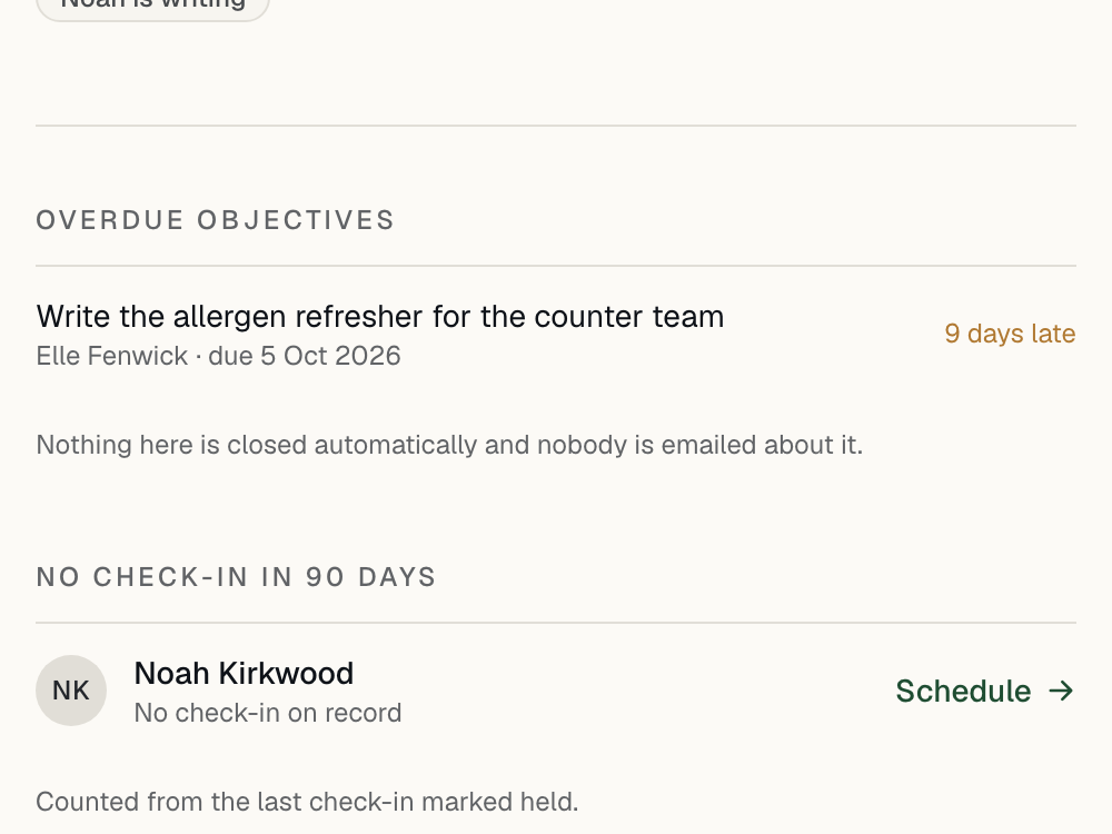 A manager’s team page listing one objective nine days late and one person with no check-in on record, with a link to schedule one.